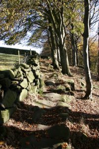 The Calderdale Way above Colden Valley