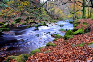 In Hardcastle Crags