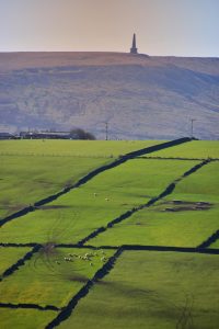 Upland pastures below Stoodley Pike